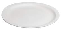 240.20.2002 Dinner Plate (Max Qty 2)