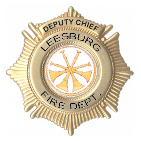 Hat Badge for DEPUTY CHIEF